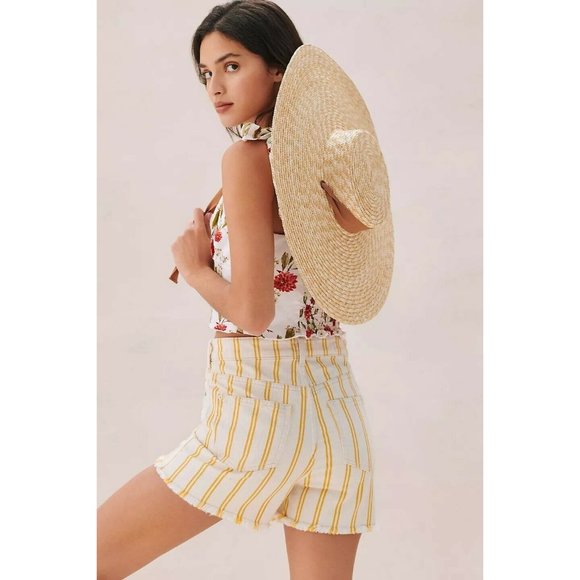 Anthropologie Pilcro Striped Denim Shorts - Picture 2 of 7